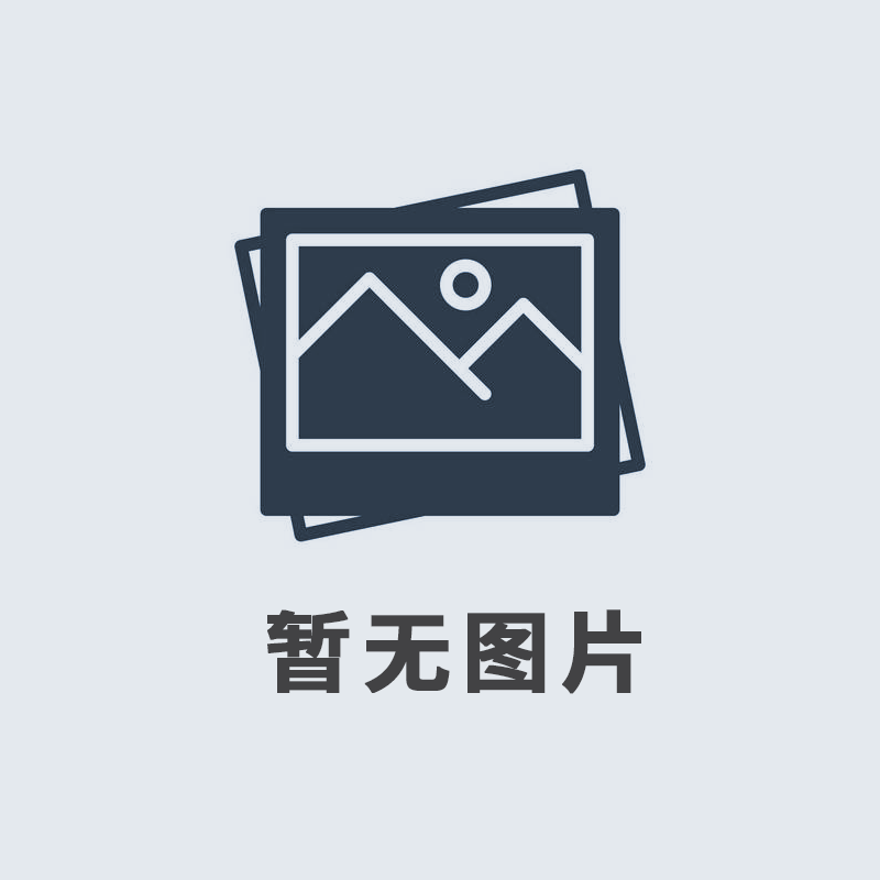 我们的主营产品是什么